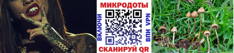 Галлюциногенные грибы GOLDEN TEACHER  сайты даркнета наркотические препараты  Краснозаводск  купить  